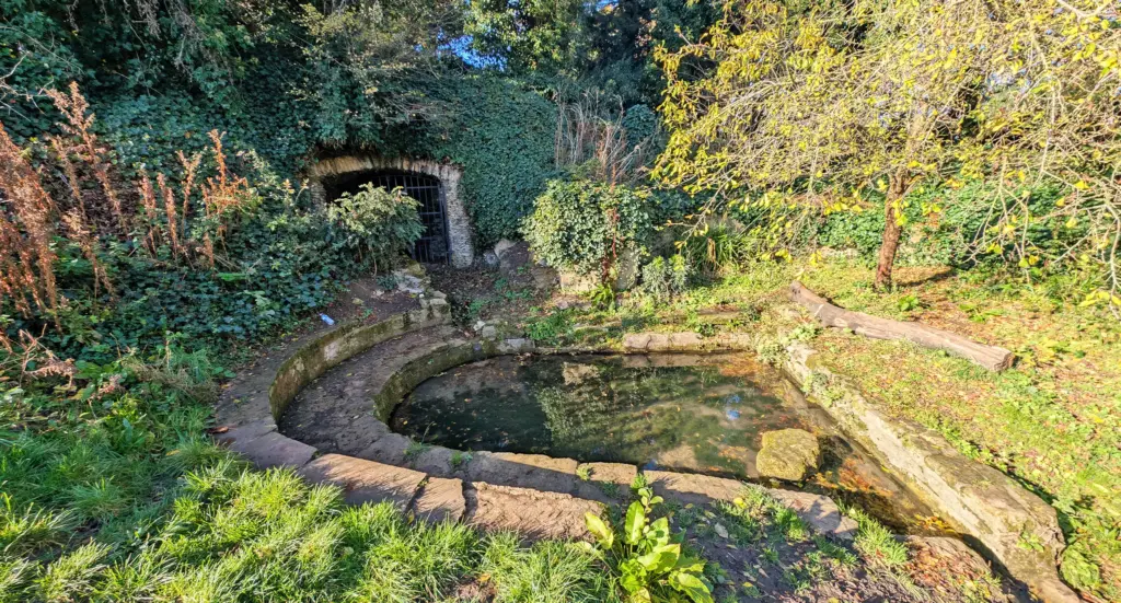 Holywell medieval fish ponds