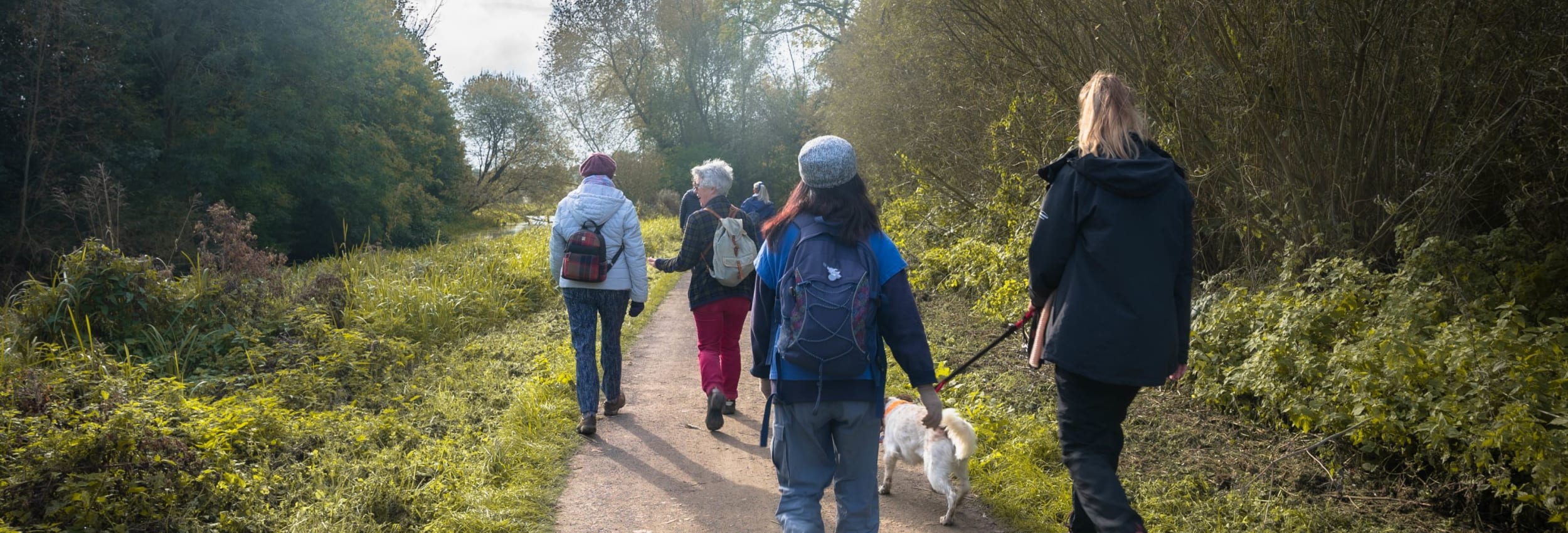 Wellbeing Wander