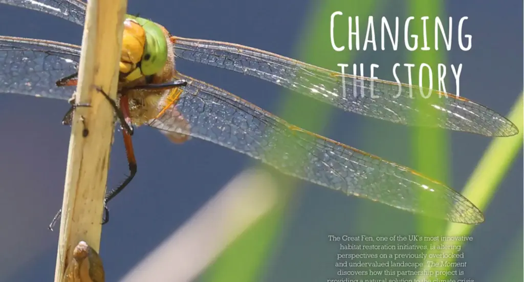 Changing the Story Great Fen