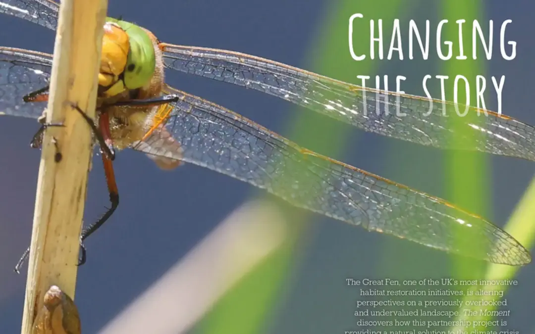 Changing the Story Great Fen