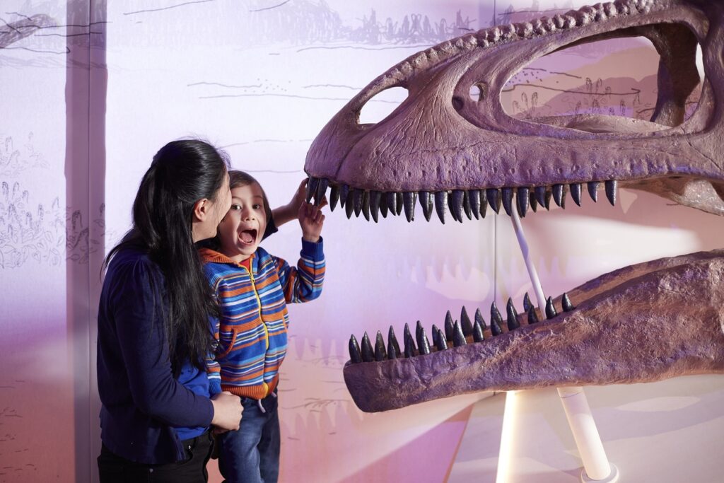 Titanosaur Peterborough Cathedral