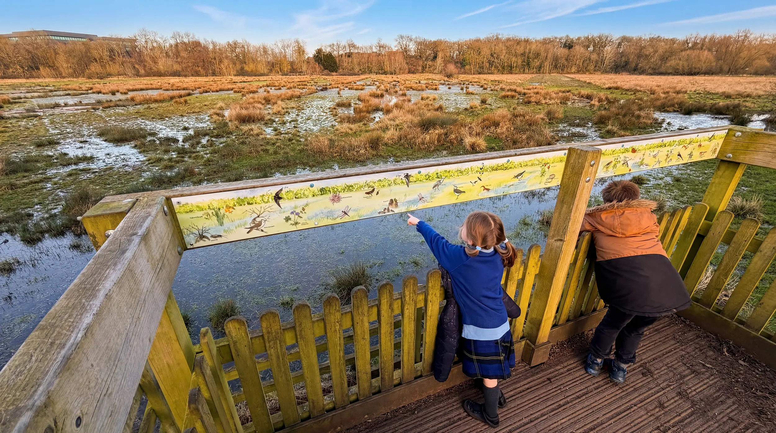 Heron Meadow Nene Park Peterborough