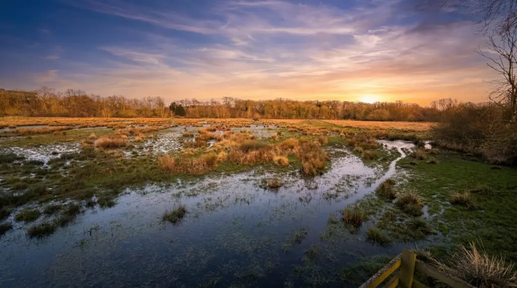 Nene Park Heron Meadow Peterborough