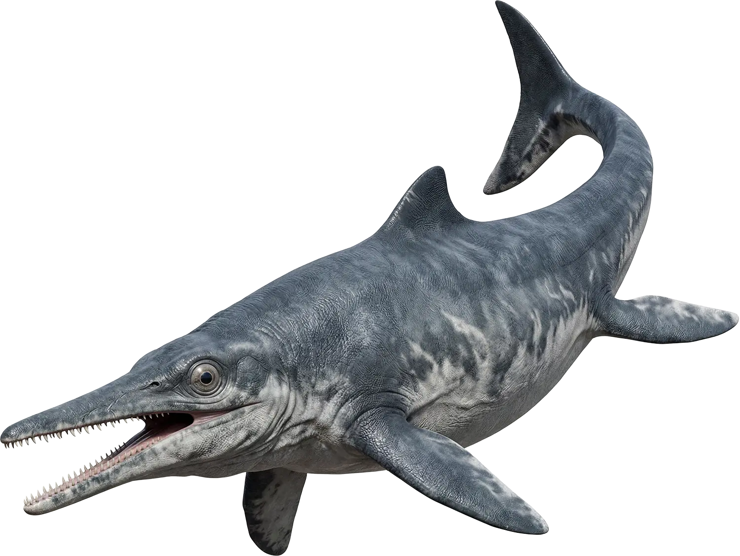 Ichthyosaur