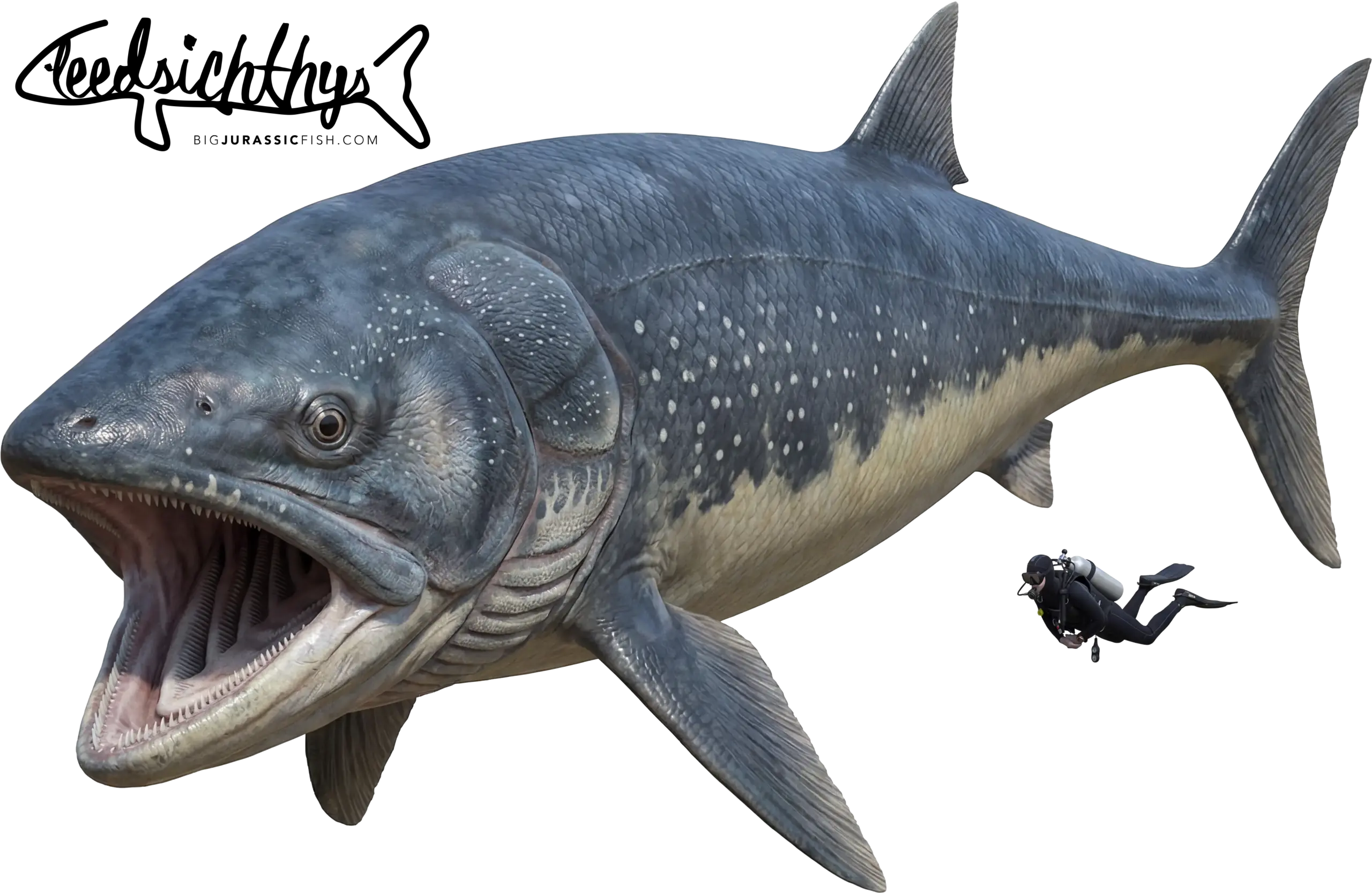 Leedsichthys