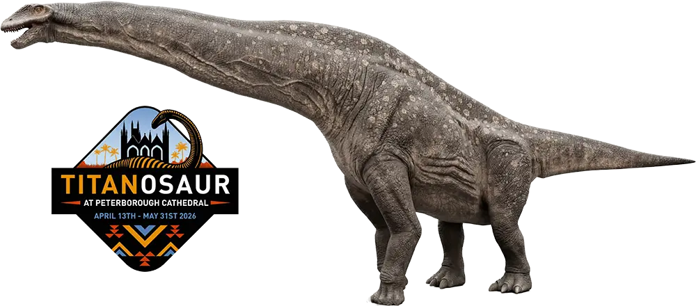 Titanosaur Peterborough Cathedral