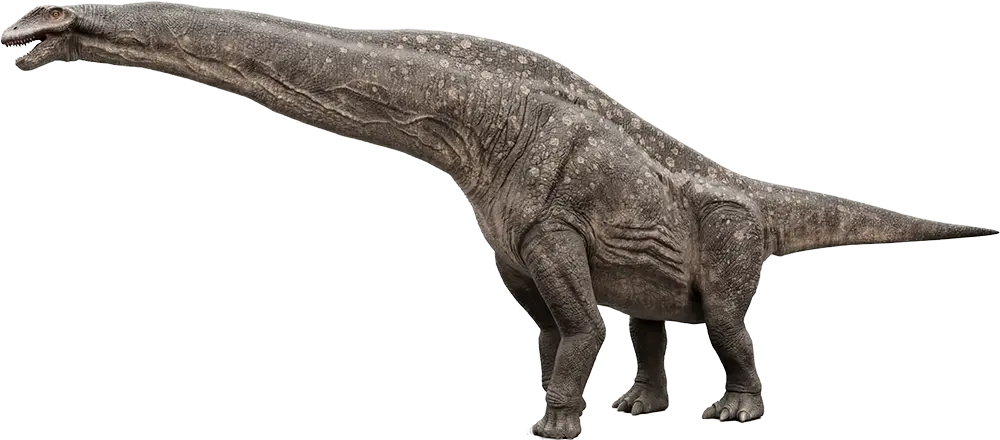 Titanosaur Peterborough Cathedral