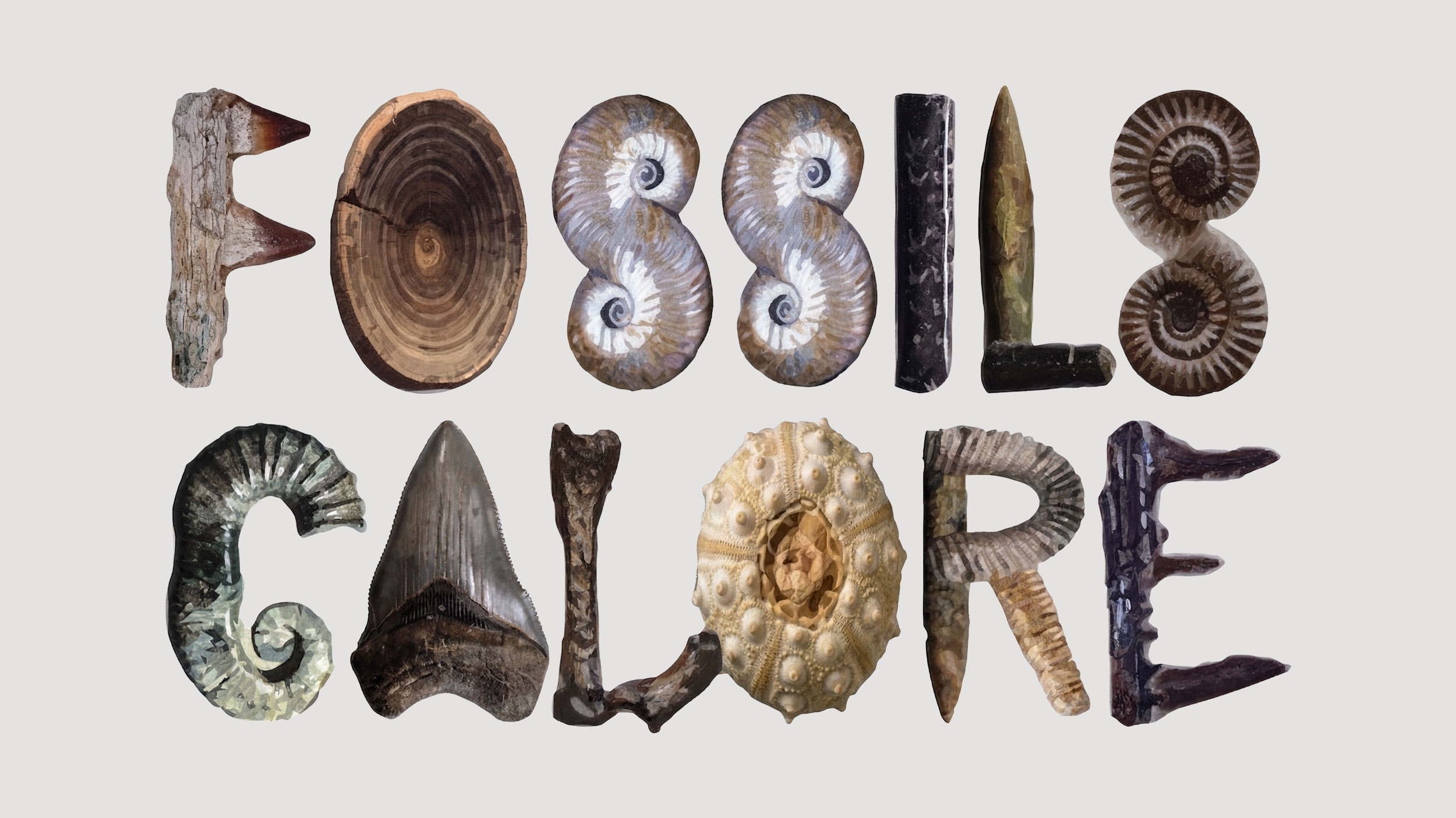 Fossils Galore at Peterborough Celebrates