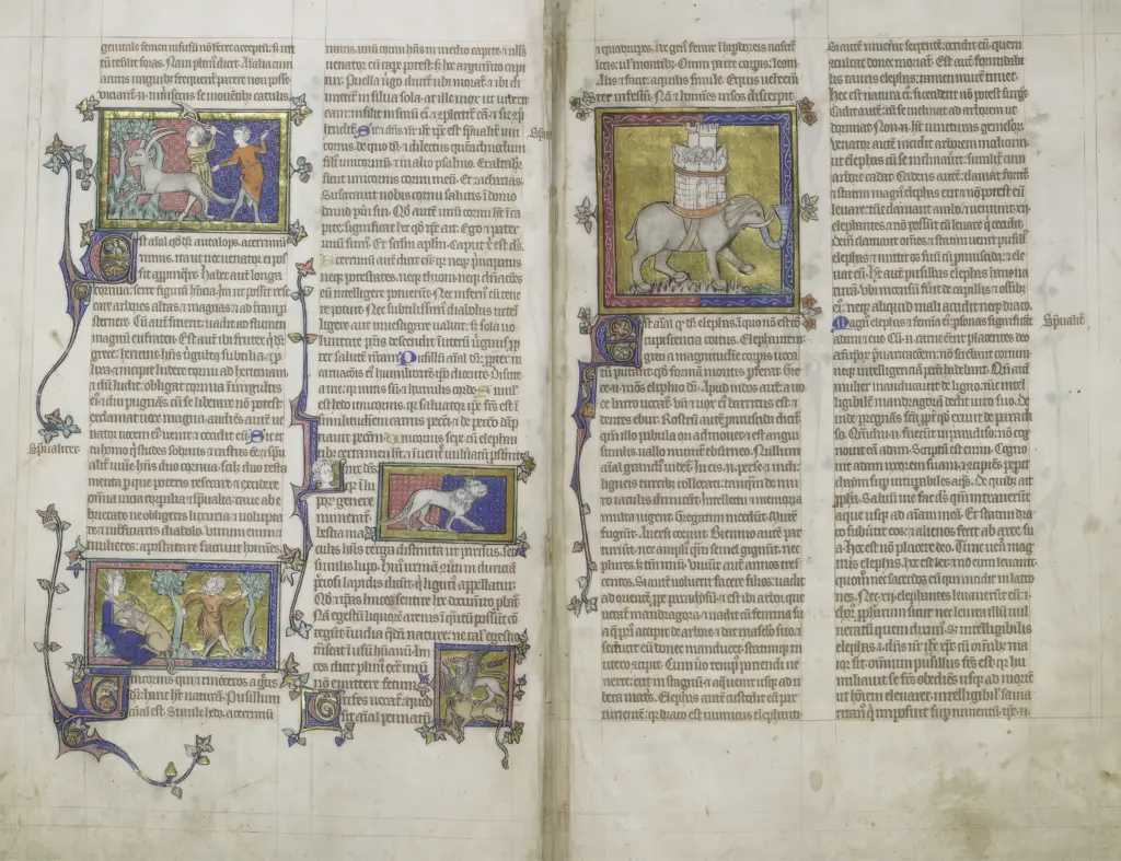 Peterborough Bestiary