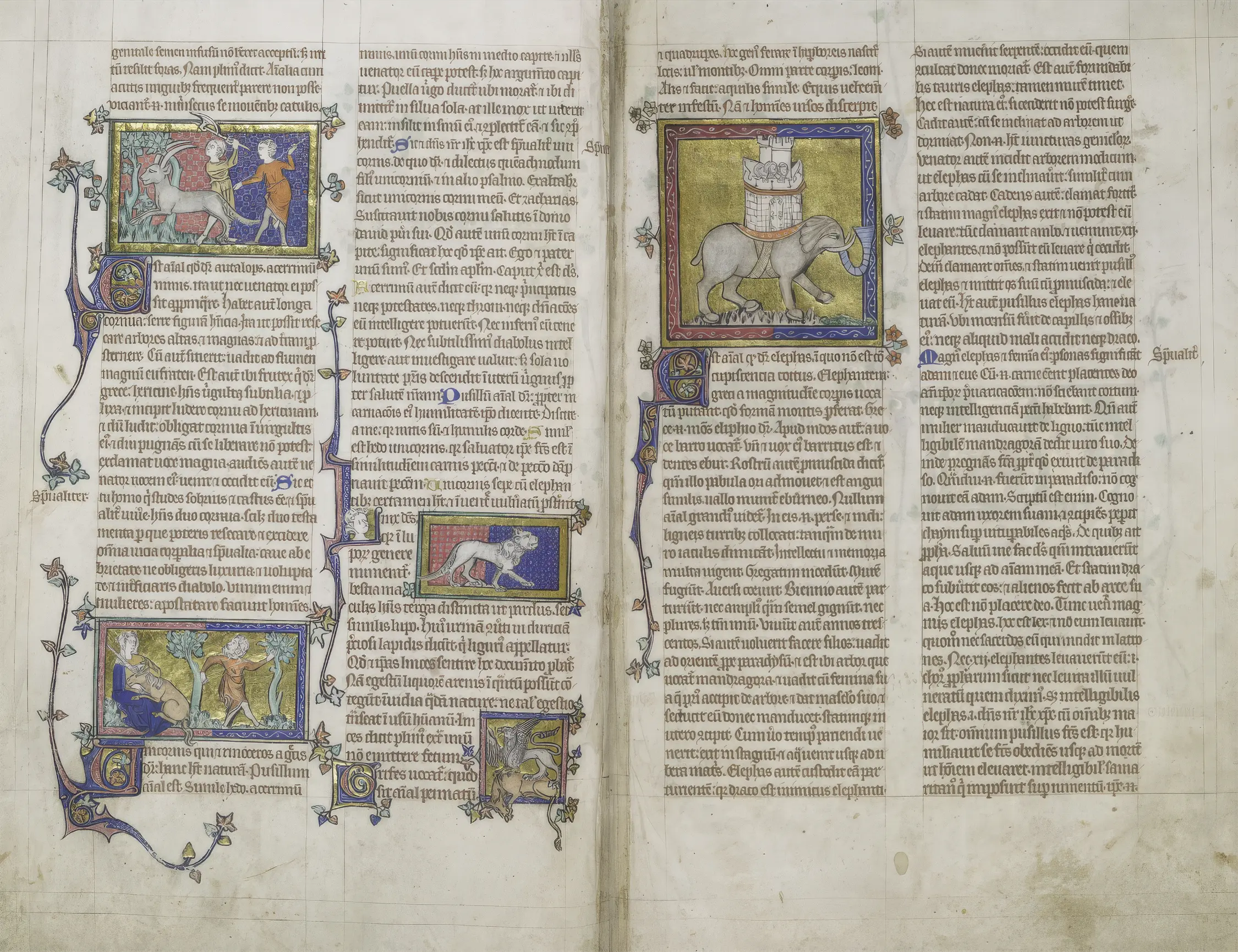 Peterborough's Medieval Masterpiece: The Peterborough Bestiary