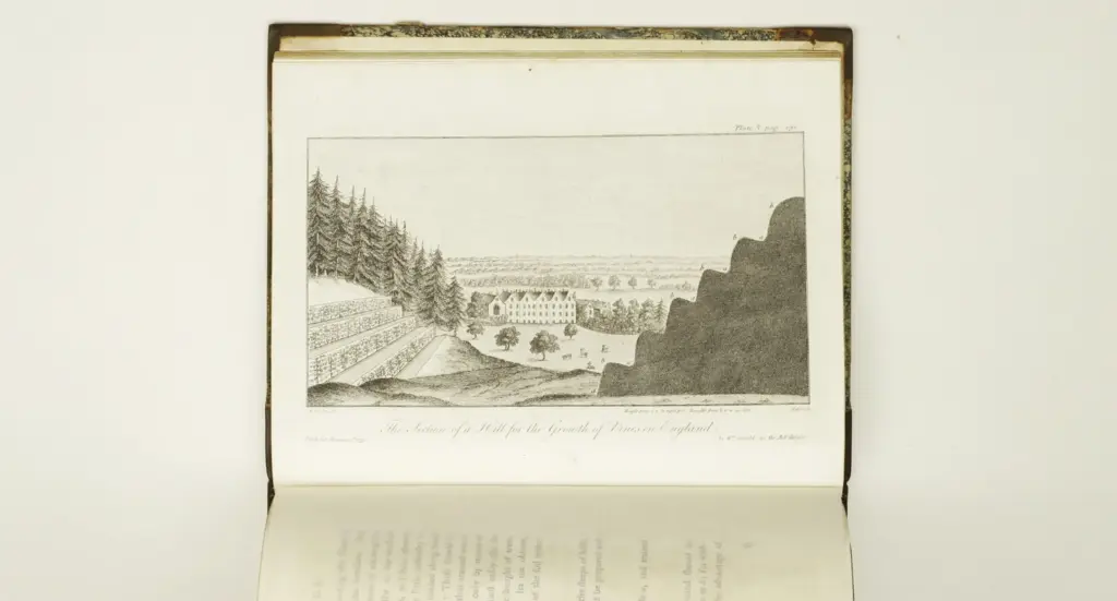 William Speechly Peterborough