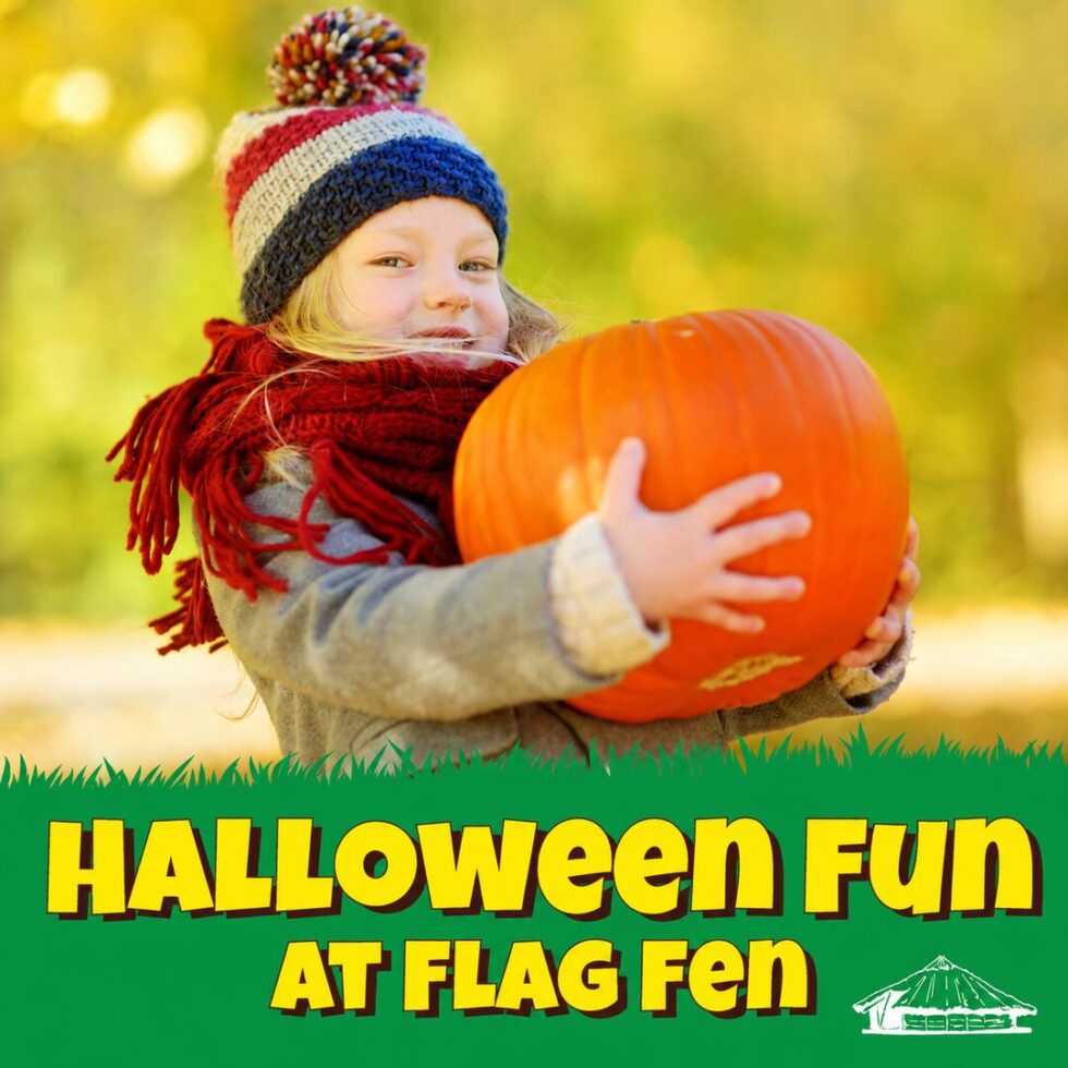Halloween Fun at Flag Fen