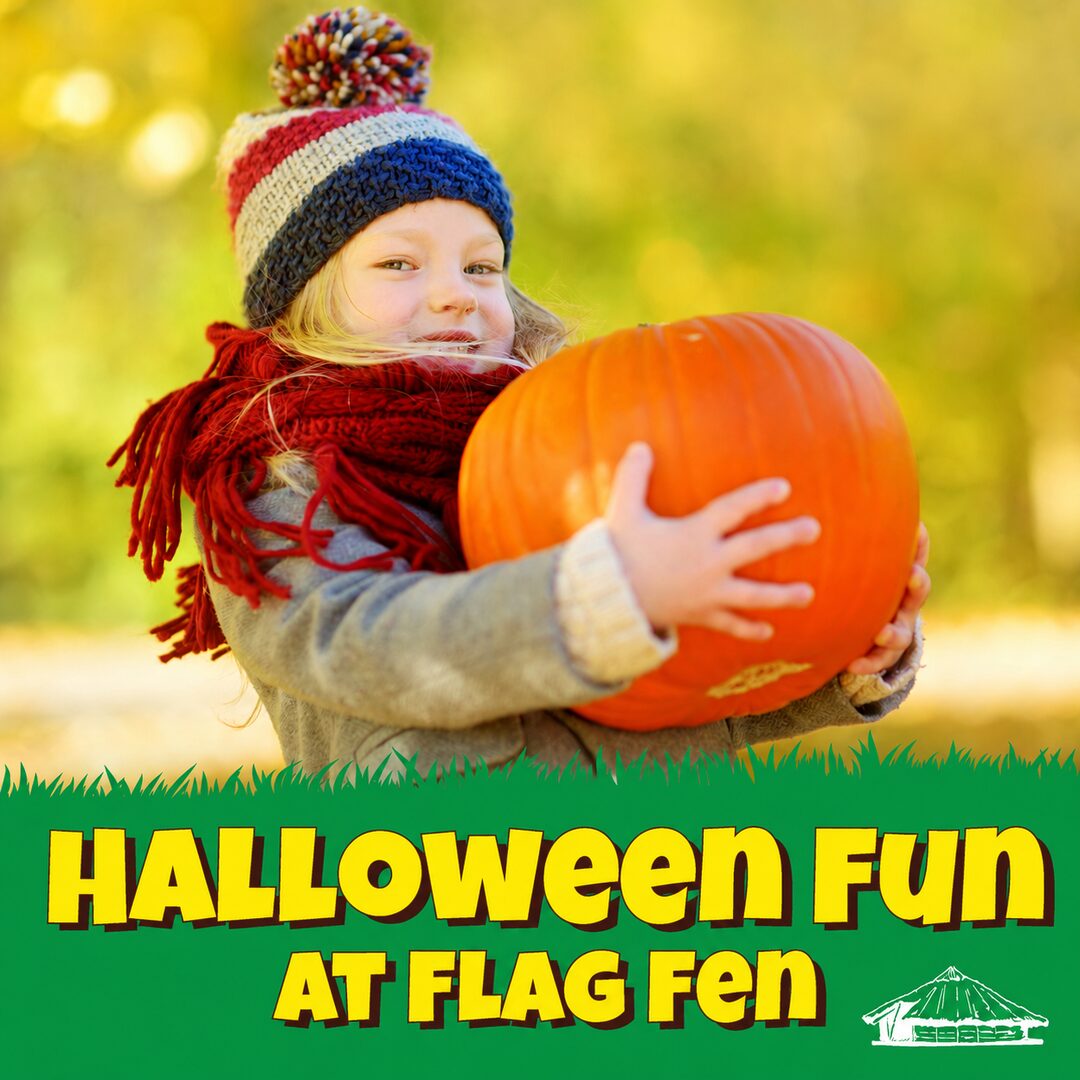 Halloween Fun at Flag Fen