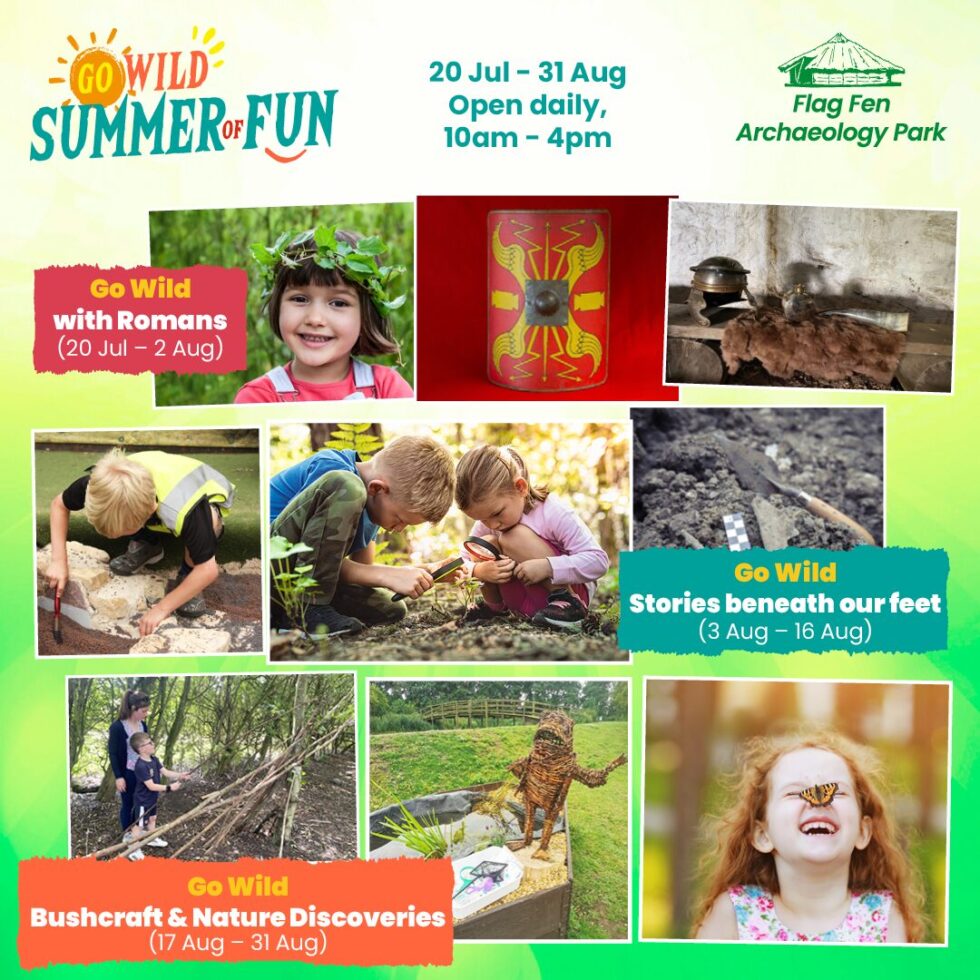 Go Wild - Summer of Fun!