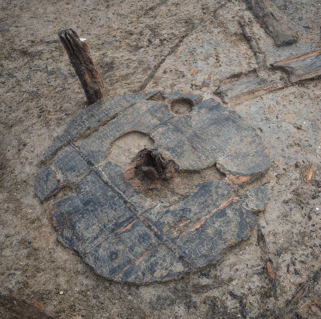 The complete Bronze Age wooden wheel being excavated at Must Farm near Peterborough