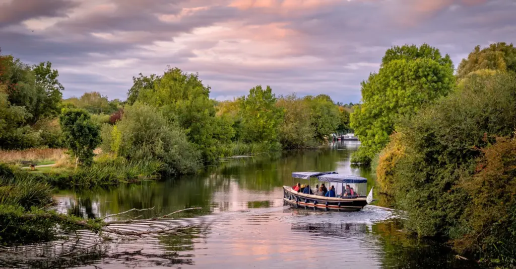 Wildlife Boat Trip and Bat Walk