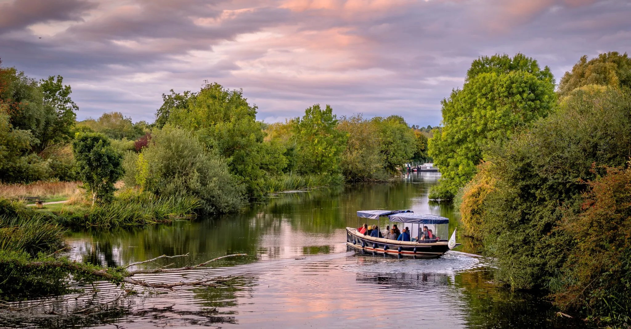 Wildlife Boat Trip and Bat Walk